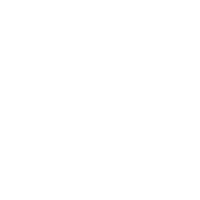 Steadfast logo
